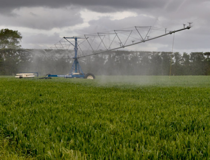 irrigator 4396